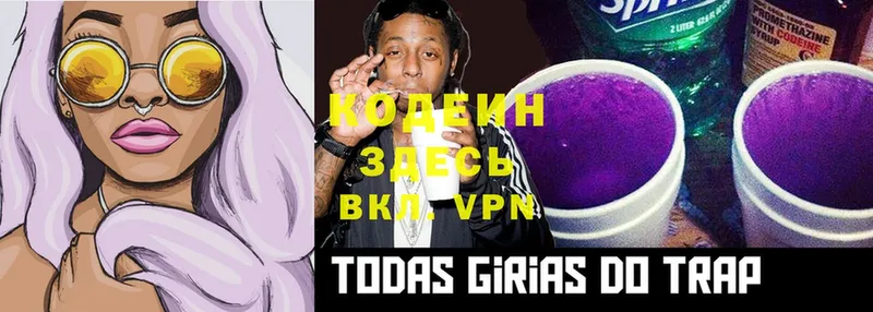 купить наркотики цена  Жуков  Кодеиновый сироп Lean Purple Drank 